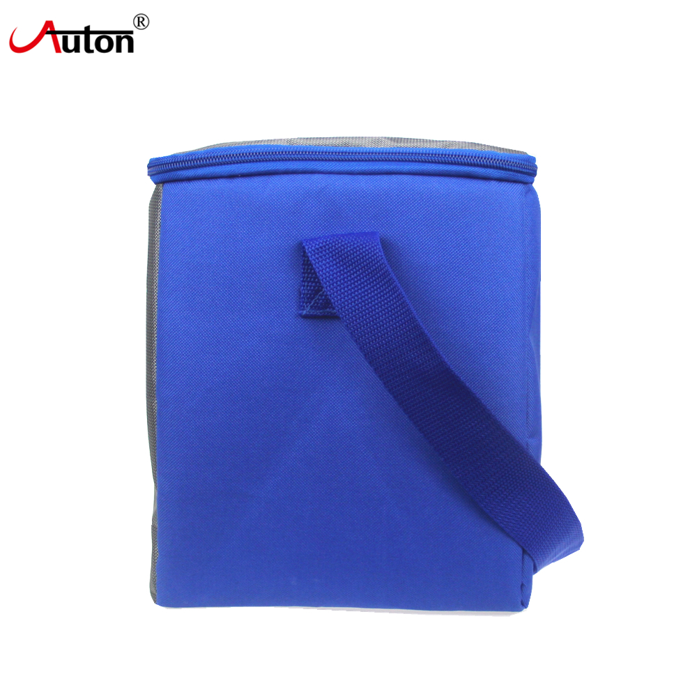 Promotion Lunch Cooler Bag Picnic Insulated For Outdoor